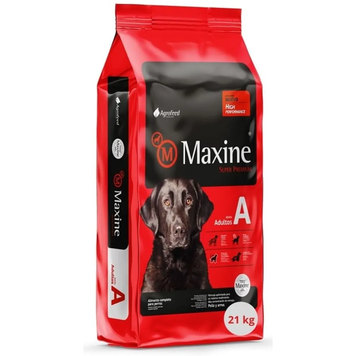Maxine Adulto 21KG