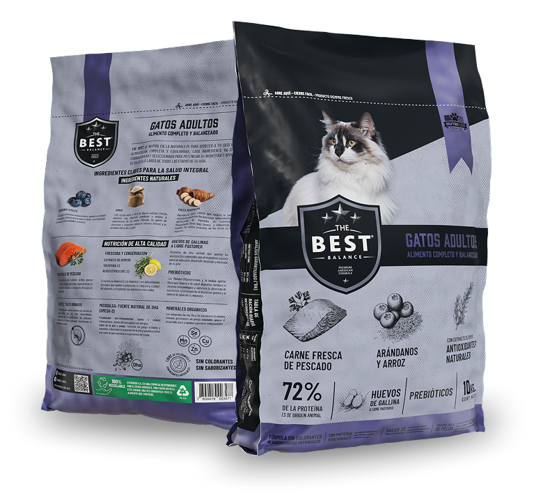 the best gato 10 kg