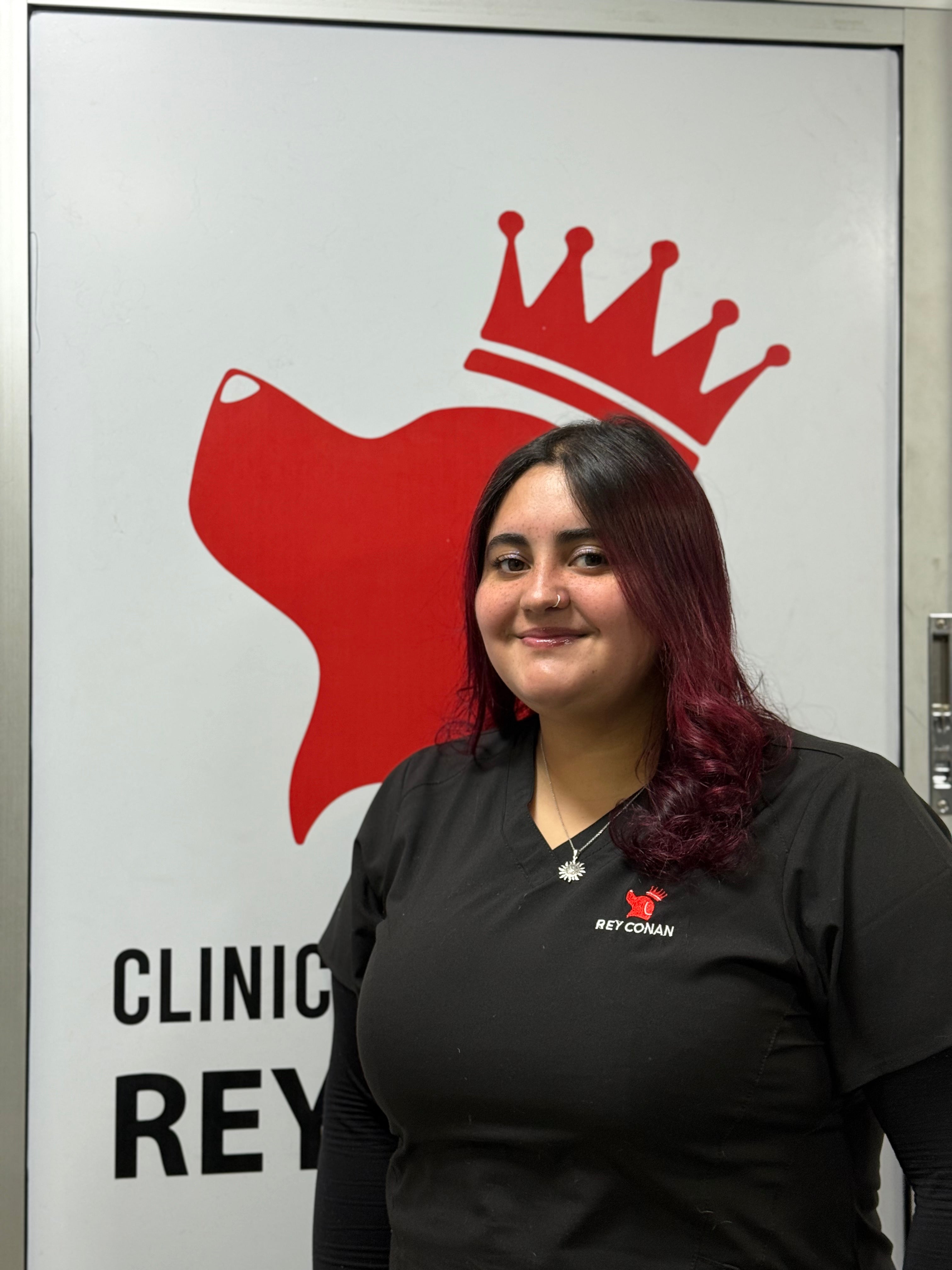 Natasha Avilés - T. V