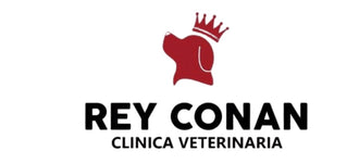 Rey conan