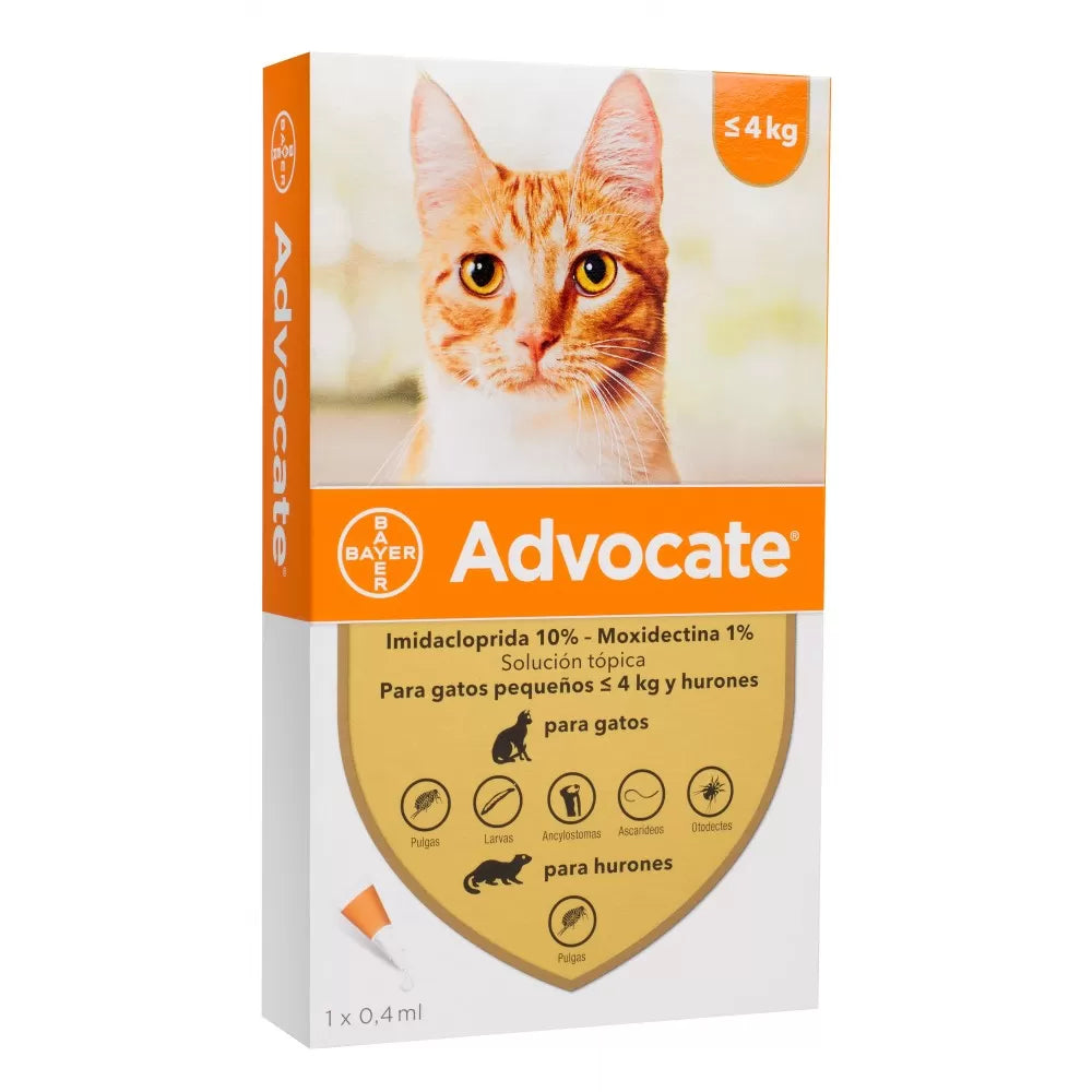 Advocate Pipeta gato 0-4kg