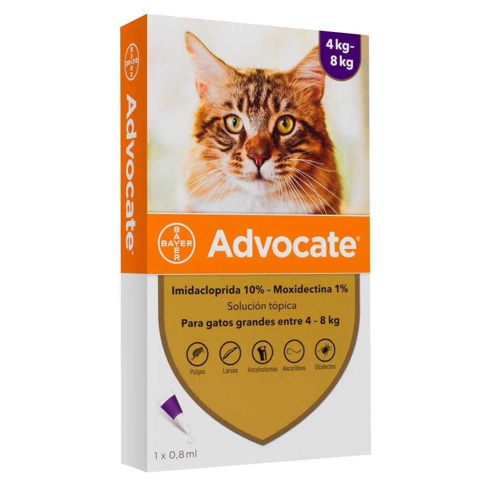Advocate Pipeta gato 4-8kg