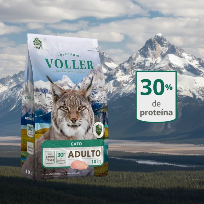 voller gato 10 kg