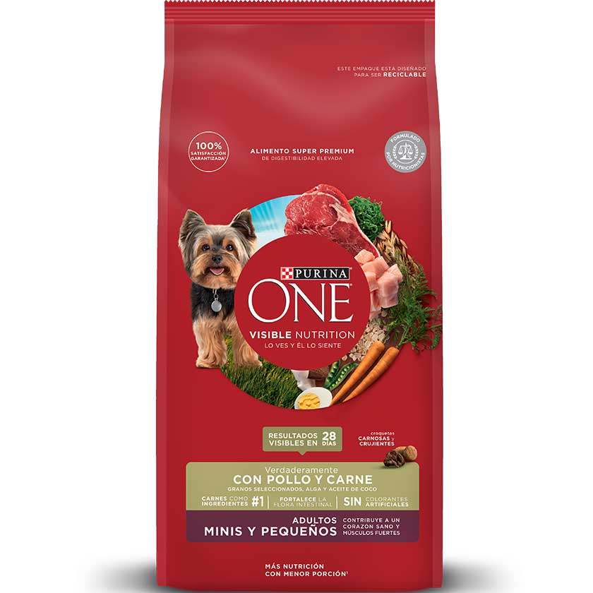 PURINA ONE ADULTO MINIS  POLLO Y CARNE 2KG