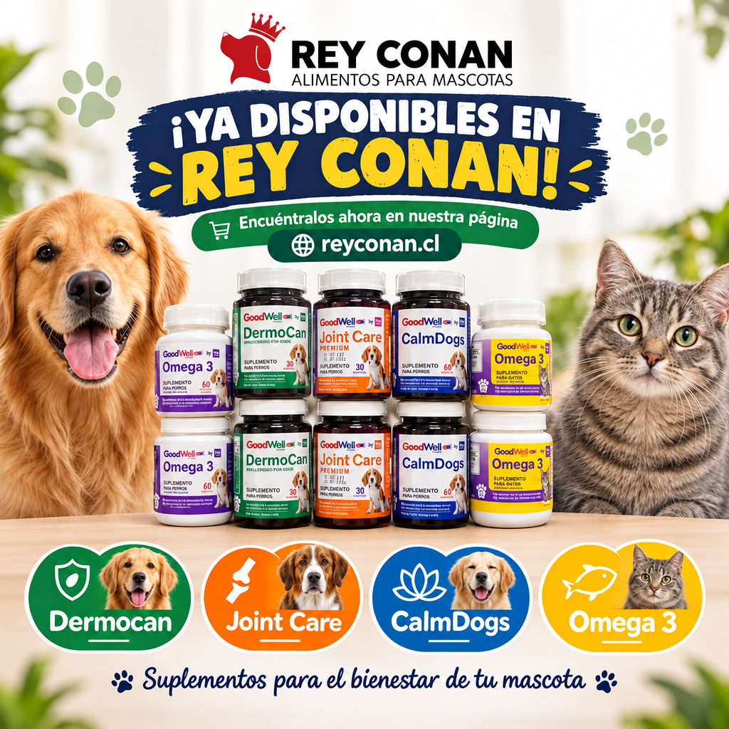 Promo Rey Conan - GoodWell