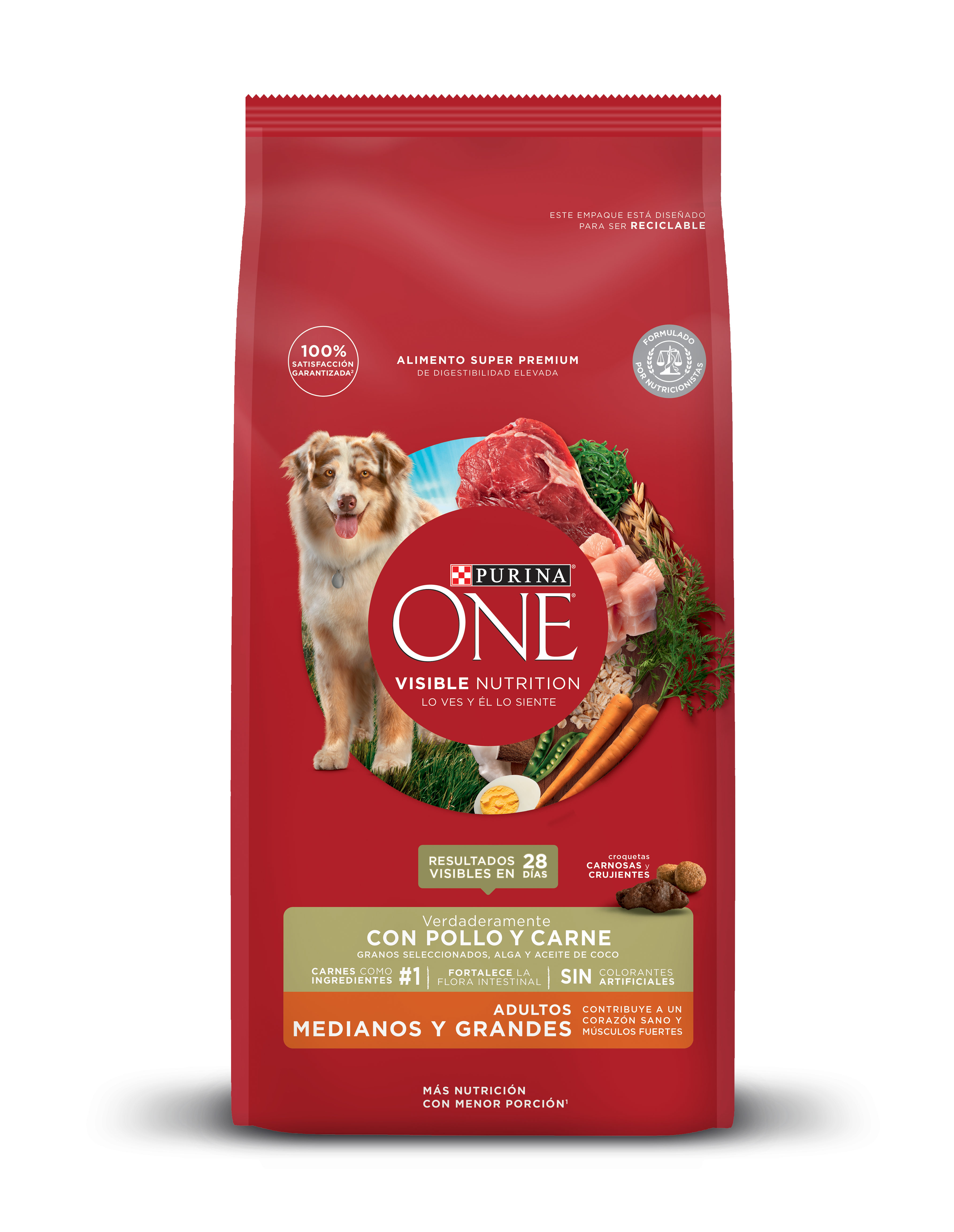 PURINA ONE ADULTO PERRO POLLO Y CARNE 6KG