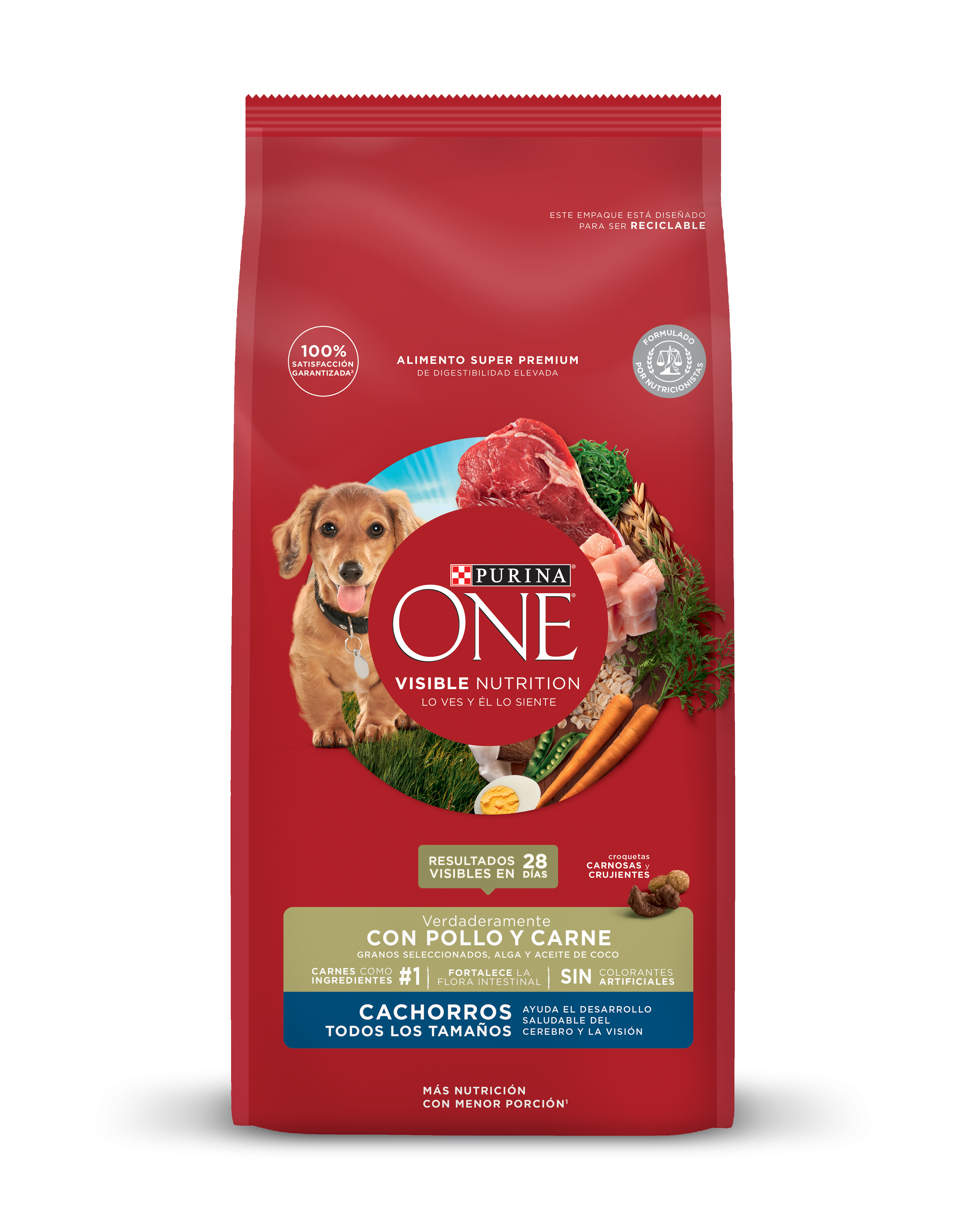 PURINA ONE CACHORRO POLLO Y CARNE 2KG