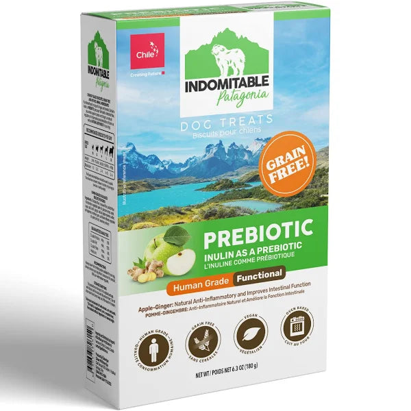 INDOMITABLE  GALLETA PREBIOTIC JENGIBRE/MANZA 180G